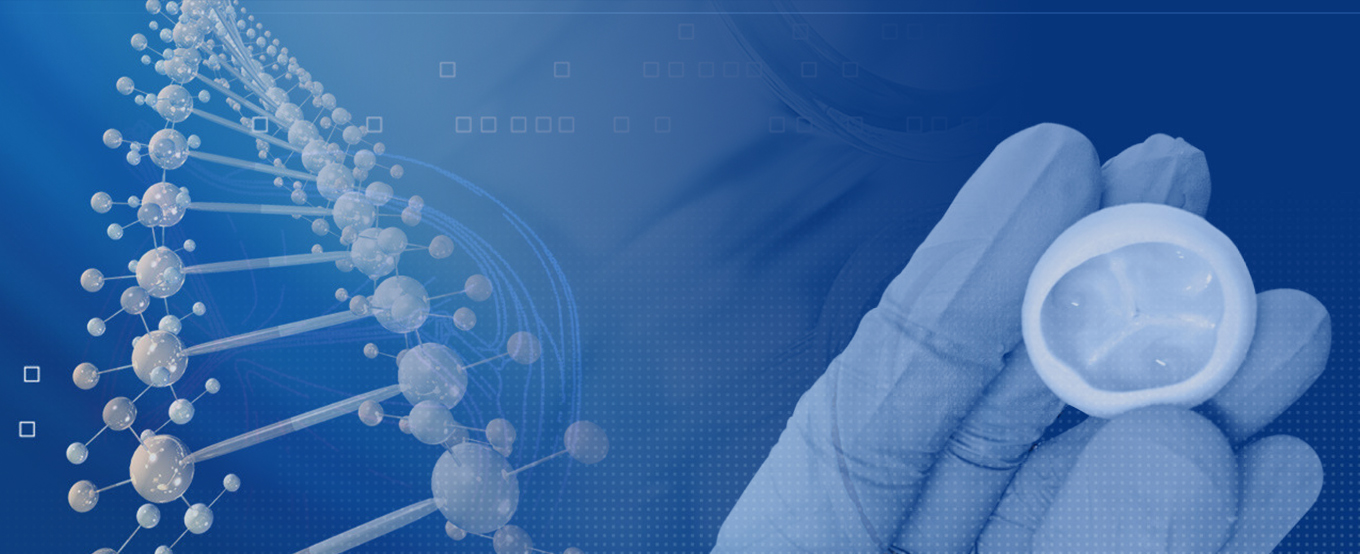 16474866665126372248.jpg 2.jpg